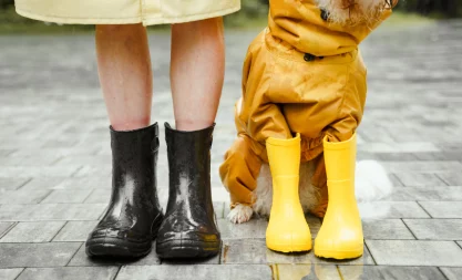 dog and person with boots